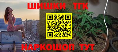 стаф Новозыбков