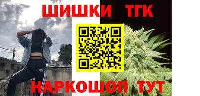 стаф Новозыбков