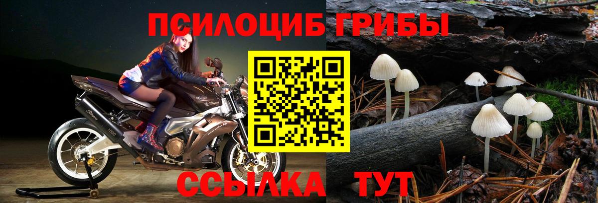 Псилоцибиновые грибы GOLDEN TEACHER  Вход с VPN  Псилоцибиновые грибы MAGIC MUSHROOMS  Североморск 