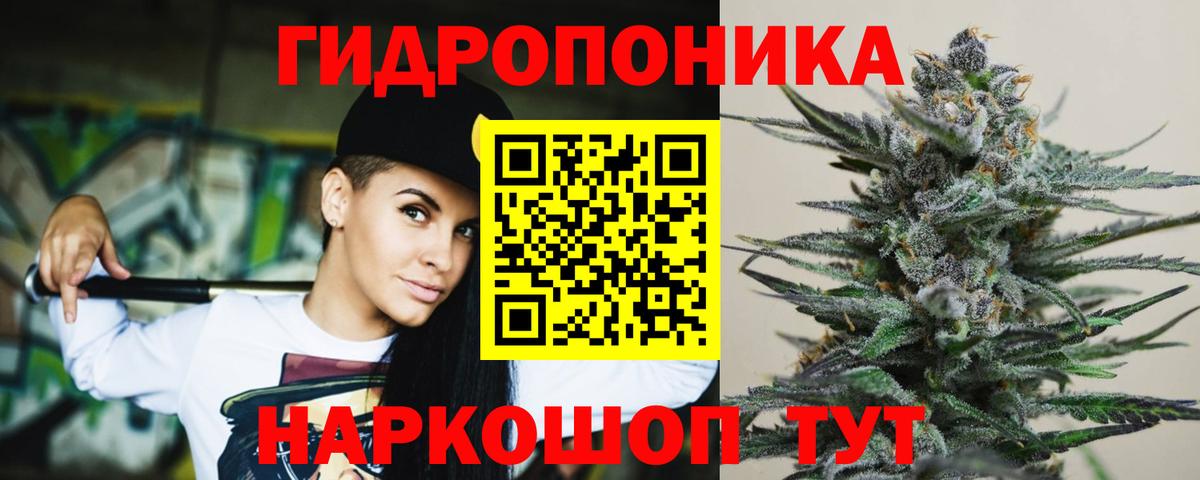 Североморск  Бошки Шишки планчик  Бошки Шишки гибрид  МАРИХУАНА THC 21%  Вход с VPN 